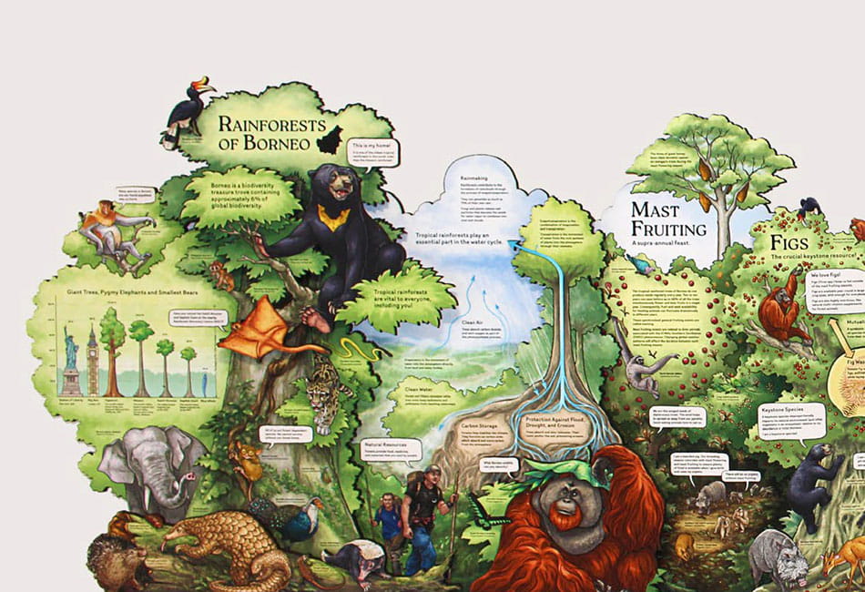 An intricate illustration of the rainforests of Borneo
