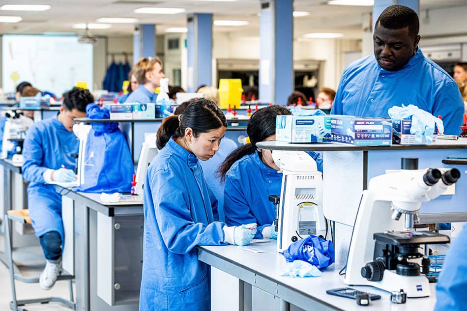 Conducting an experiment in a petri dish in a laboratory.
