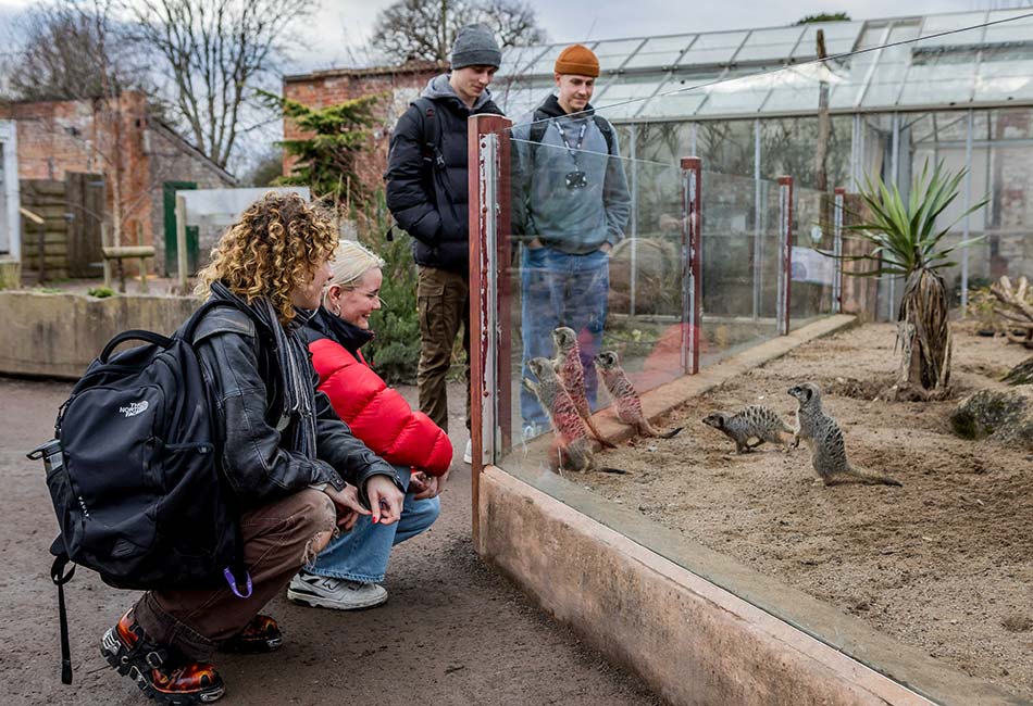Student smiling at lemur enclosure at Bristol Zoo Project.
