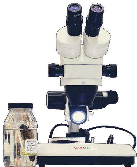 Equipment used by Biomedical Science degree students