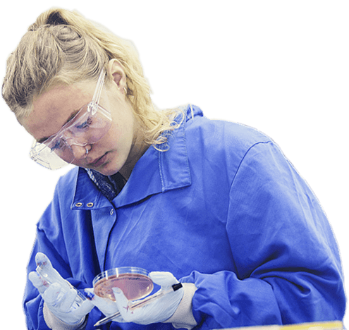 An Environmental Science degree student in a blue lab coat inspecting bacterial growth in a petri dish